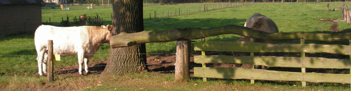 paddestoel vergeten Platteland Wringhek - De Hekkerij